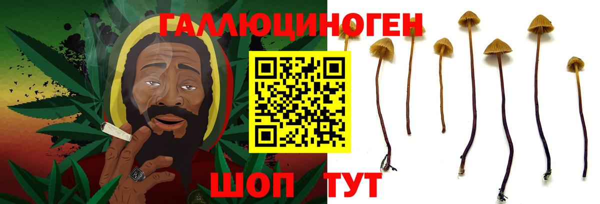 Псилоцибиновые грибы Cubensis  Вход с VPN  Барнаул 